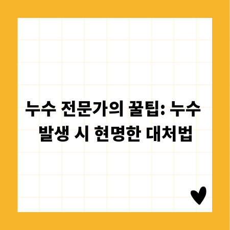 누수 전문가의 꿀팁: 누수 발생 시 현명한 대처법