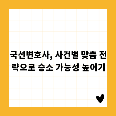 국선변호사, 사건별 맞춤 전략으로 승소 가능성 높이기