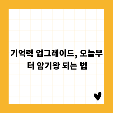 기억력 업그레이드, 오늘부터 암기왕 되는 법