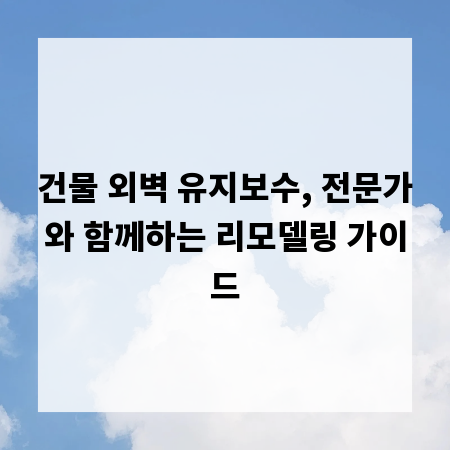 건물 외벽 유지보수, 전문가와 함께하는 리모델링 가이드