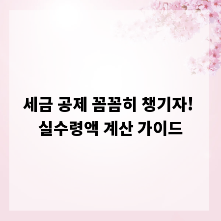 세금 공제 꼼꼼히 챙기자! 실수령액 계산 가이드
