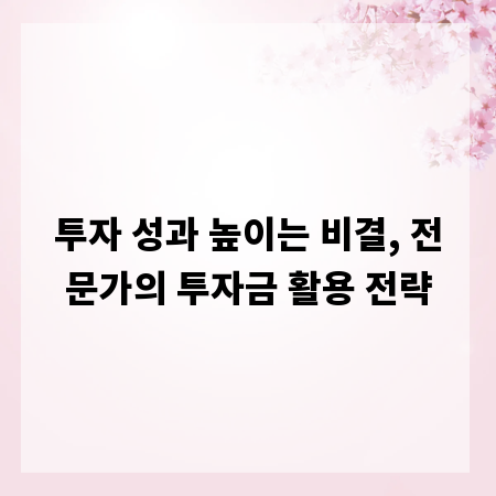 투자 성과 높이는 비결, 전문가의 투자금 활용 전략
