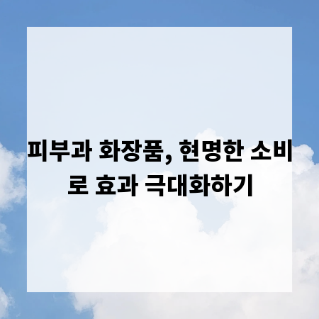 피부과 화장품, 현명한 소비로 효과 극대화하기