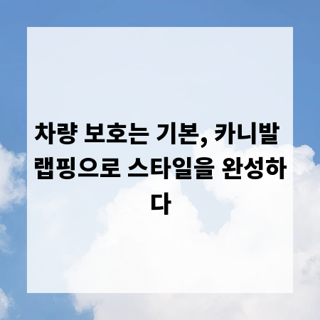 차량 보호는 기본, 카니발 랩핑으로 스타일을 완성하다
