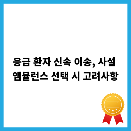 응급 환자 신속 이송, 사설 앰뷸런스 선택 시 고려사항