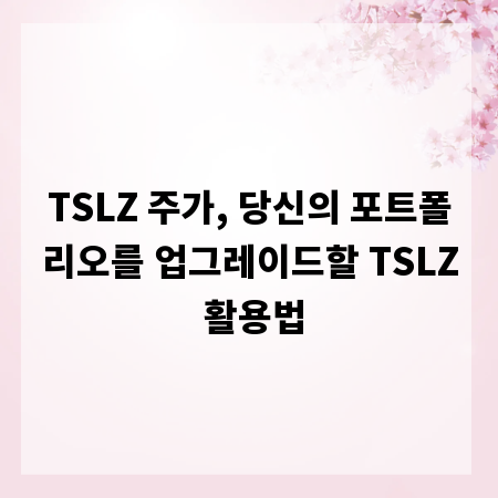 TSLZ 주가, 당신의 포트폴리오를 업그레이드할 TSLZ 활용법