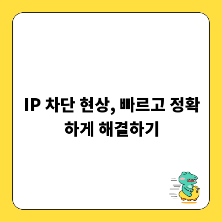 IP 차단 현상, 빠르고 정확하게 해결하기