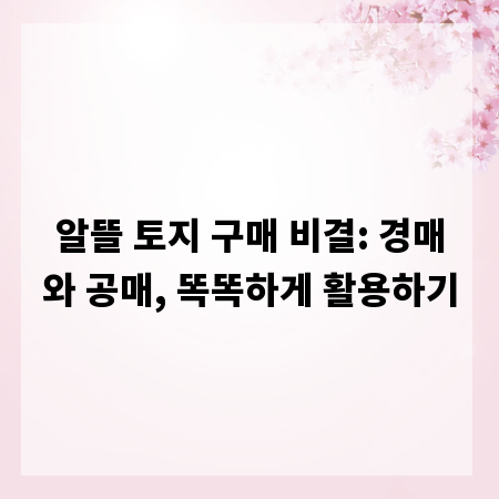 알뜰 토지 구매 비결: 경매와 공매, 똑똑하게 활용하기