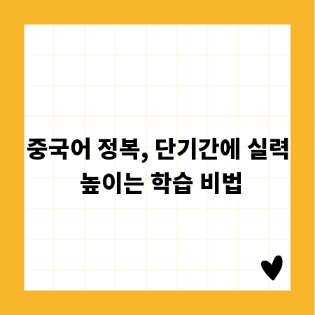 중국어 정복, 단기간에 실력 높이는 학습 비법