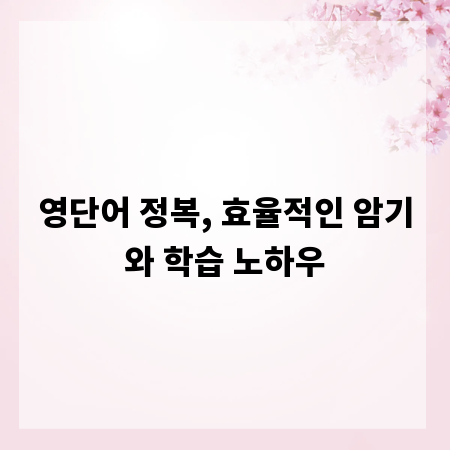 영단어 정복, 효율적인 암기와 학습 노하우