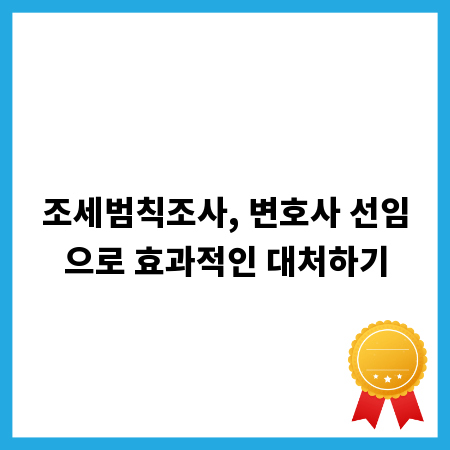 조세범칙조사, 변호사 선임으로 효과적인 대처하기