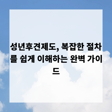 성년후견제도, 복잡한 절차를 쉽게 이해하는 완벽 가이드