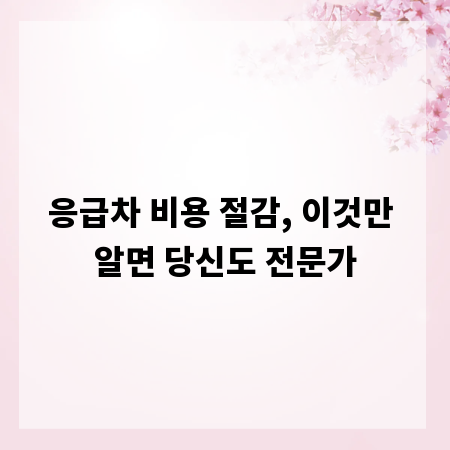응급차 비용 절감, 이것만 알면 당신도 전문가