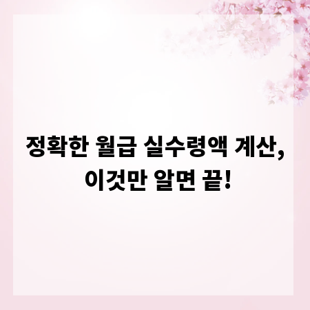 정확한 월급 실수령액 계산, 이것만 알면 끝!
