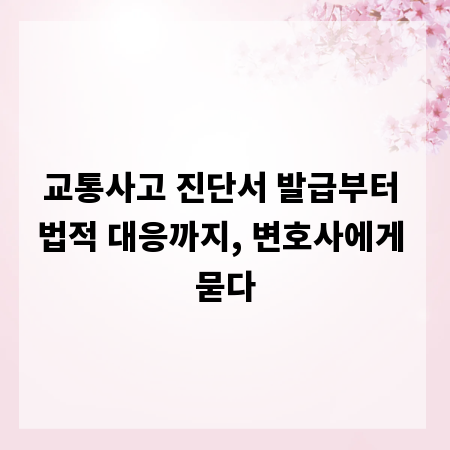교통사고 진단서 발급부터 법적 대응까지, 변호사에게 묻다