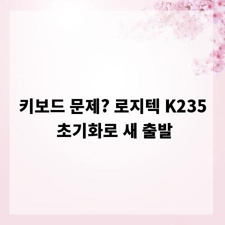키보드 문제? 로지텍 K235 초기화로 새 출발