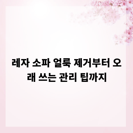 레자 소파 얼룩 제거부터 오래 쓰는 관리 팁까지