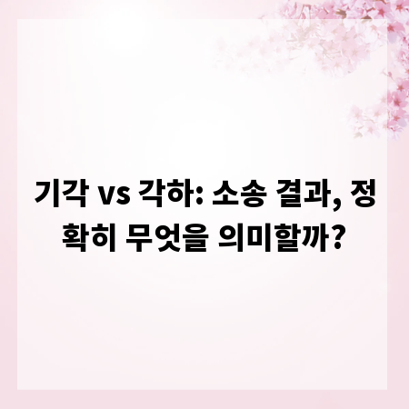 기각 vs 각하: 소송 결과, 정확히 무엇을 의미할까?