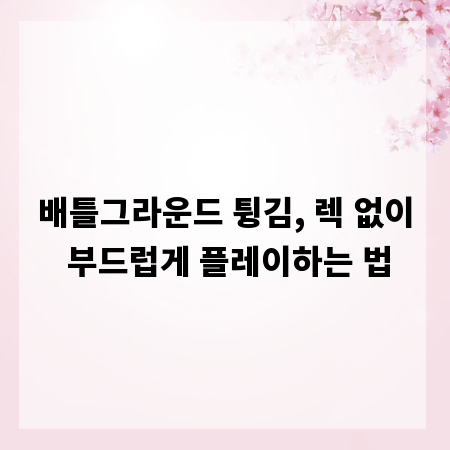 배틀그라운드 튕김, 렉 없이 부드럽게 플레이하는 법