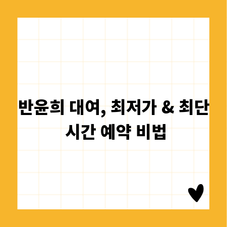 반윤희 대여, 최저가 & 최단 시간 예약 비법