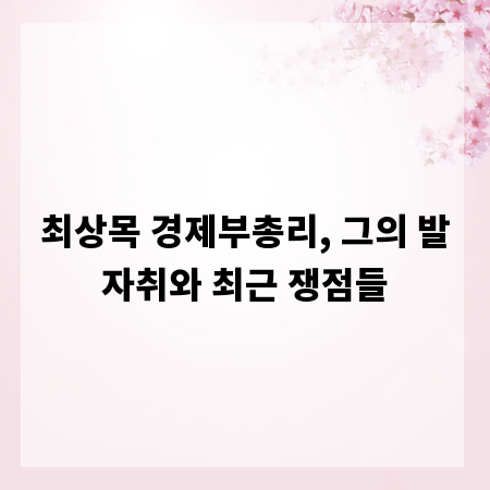 최상목 경제부총리, 그의 발자취와 최근 쟁점들