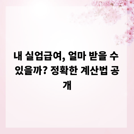내 실업급여, 얼마 받을 수 있을까? 정확한 계산법 공개