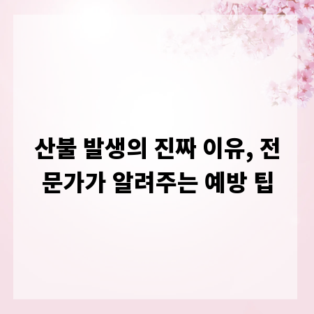산불 발생의 진짜 이유, 전문가가 알려주는 예방 팁