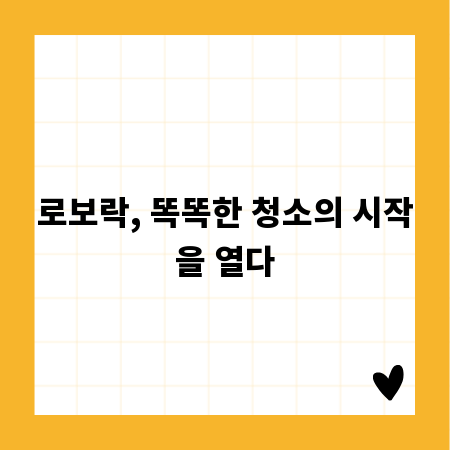 로보락, 똑똑한 청소의 시작을 열다