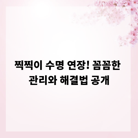찍찍이 수명 연장! 꼼꼼한 관리와 해결법 공개