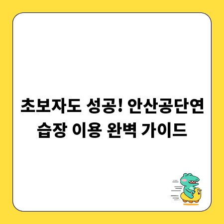 초보자도 성공! 안산공단연습장 이용 완벽 가이드