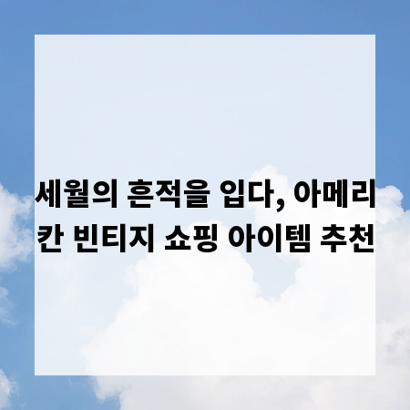 세월의 흔적을 입다, 아메리칸 빈티지 쇼핑 아이템 추천