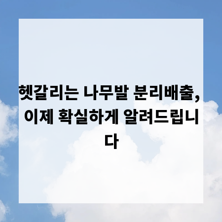 헷갈리는 나무발 분리배출, 이제 확실하게 알려드립니다