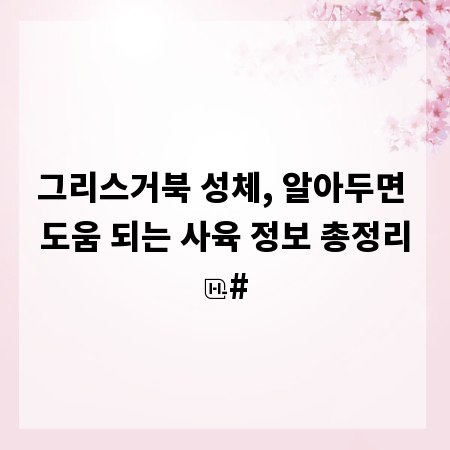 그리스거북 성체, 알아두면 도움 되는 사육 정보 총정리
#