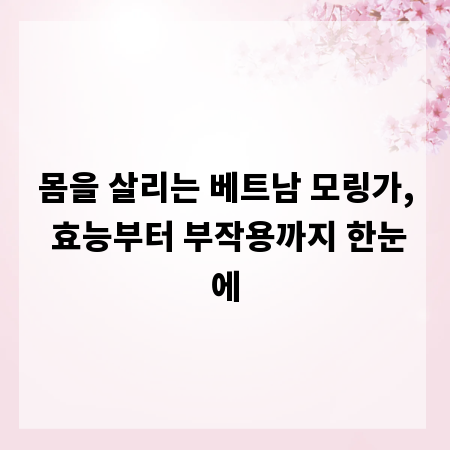 몸을 살리는 베트남 모링가, 효능부터 부작용까지 한눈에