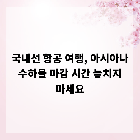 국내선 항공 여행, 아시아나 수하물 마감 시간 놓치지 마세요