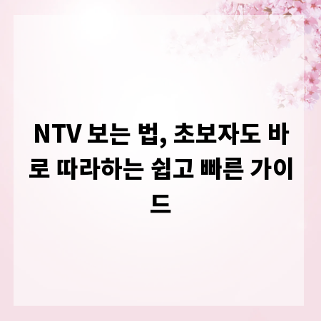 NTV 보는 법, 초보자도 바로 따라하는 쉽고 빠른 가이드