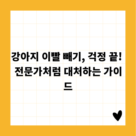 강아지 이빨 빼기, 걱정 끝! 전문가처럼 대처하는 가이드