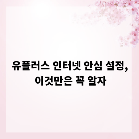 유플러스 인터넷 안심 설정, 이것만은 꼭 알자