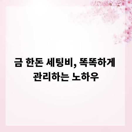 금 한돈 세팅비, 똑똑하게 관리하는 노하우