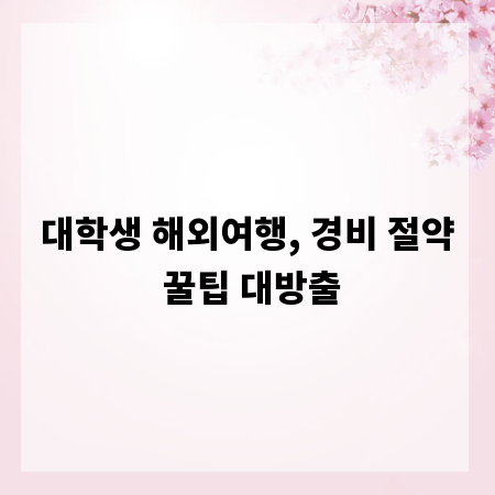 대학생 해외여행, 경비 절약 꿀팁 대방출
