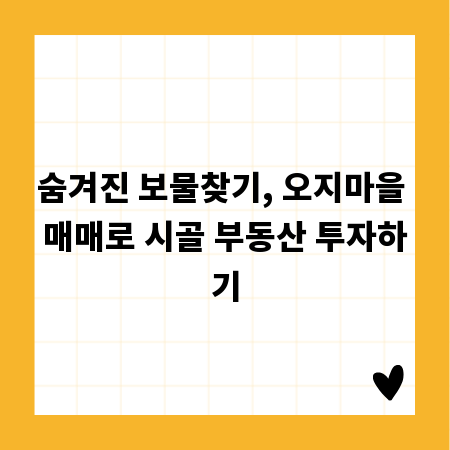 숨겨진 보물찾기, 오지마을 매매로 시골 부동산 투자하기