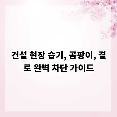 건설 현장 습기, 곰팡이, 결로 완벽 차단 가이드
