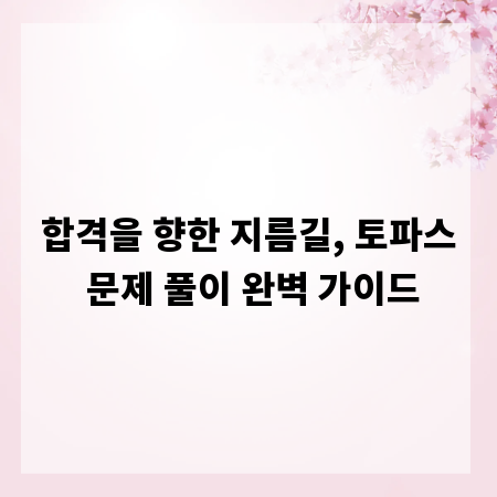 합격을 향한 지름길, 토파스 문제 풀이 완벽 가이드