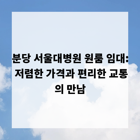 분당 서울대병원 원룸 임대: 저렴한 가격과 편리한 교통의 만남