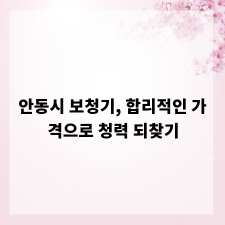 안동시 보청기, 합리적인 가격으로 청력 되찾기