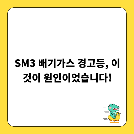 SM3 배기가스 경고등, 이것이 원인이었습니다!