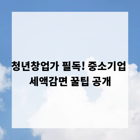 청년창업가 필독! 중소기업 세액감면 꿀팁 공개