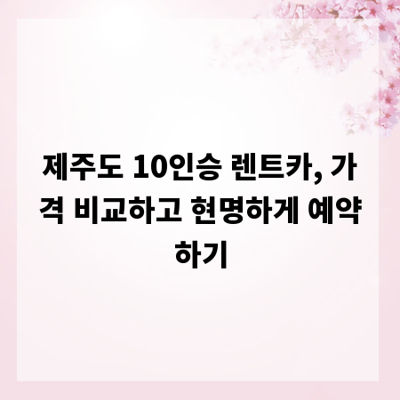 제주도 10인승 렌트카, 가격 비교하고 현명하게 예약하기