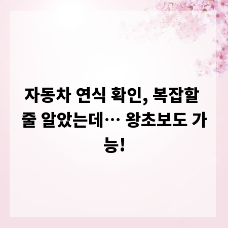 자동차 연식 확인, 복잡할 줄 알았는데&hellip; 왕초보도 가능!
