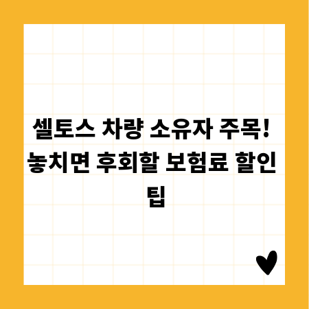 셀토스 차량 소유자 주목! 놓치면 후회할 보험료 할인 팁